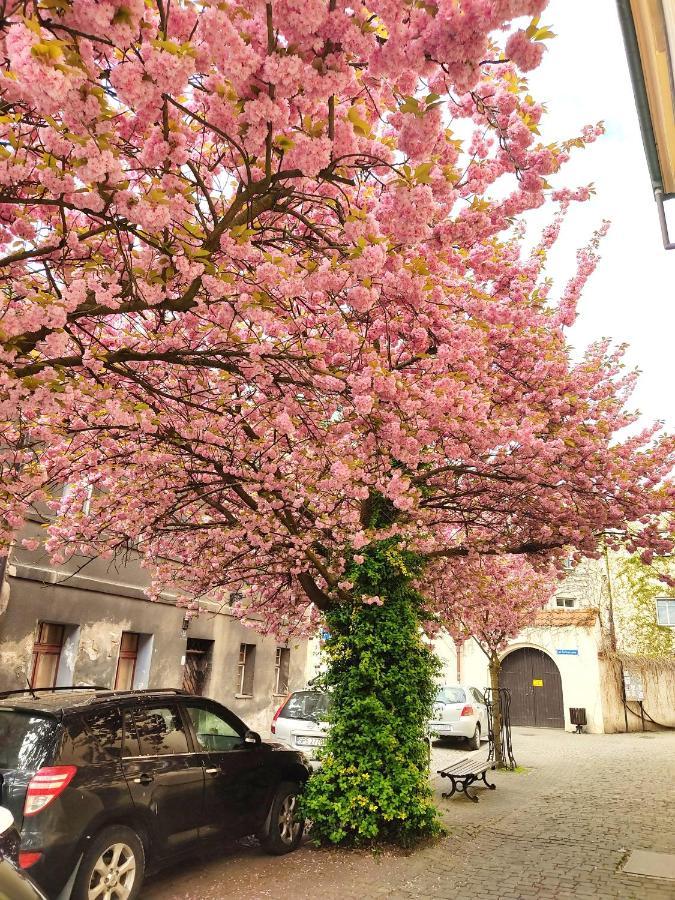Apartament Przy Zamku Pszczyna megye Kültér fotó