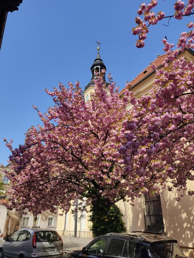 Apartament Przy Zamku Pszczyna megye Kültér fotó